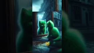 Green Cat 🐱 vs Normal cat 🐱 cat kitten cutecat catlover [upl. by Neural473]