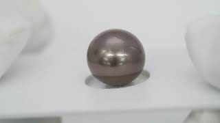 1pcs Brown Cherry 107mm  NR AAAAA Quality Tahitian Pearl Single LP2117 OR10 [upl. by Rehposirhc]