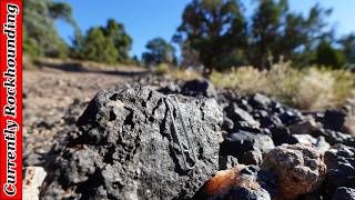 Lodestone Hunting in Utah [upl. by Sualohcin]