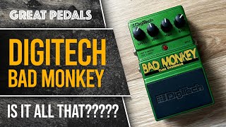 Digitech Bad Monkey Is it really all that [upl. by Past]