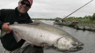 King Salmon on the fly at Alaska West Camp  Kanektok River [upl. by Ym]