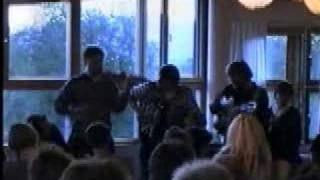 Swedish Folk Music with Fiddle Accordion and Guitar [upl. by Nyliahs546]