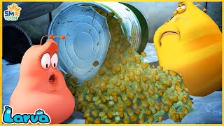 LARVA Season 3 Episode 50  100  New Cartoons 2024  Hilarious Cartoon Compilation [upl. by Etnuahc956]