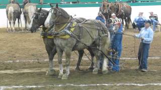 Heavyweight Team Full Pull 10000 lbs [upl. by Giefer876]