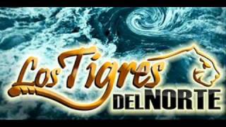 AGUAS REVUELTAS  LOS TIGRES DEL NORTE ESTUDIO [upl. by Ahseniuq]