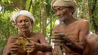 দুই গারো বন্ধু যাচ্ছে কাছিমের খোঁজে  Panorama Documentary [upl. by Nehgaem]