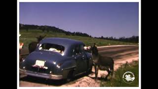 Historic Journeys A 1950s Trip to Great Falls and Mount Rushmore [upl. by Dranoc]