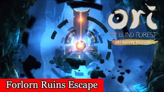 Ori and The Blind Forest Forlorn Ruins Escape [upl. by Lorelei]