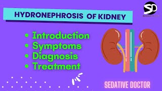 Hydronephrosis  Pelvicalyceal dilation  Treatment and Symptoms Sedative Doctor kidney [upl. by Conchita877]