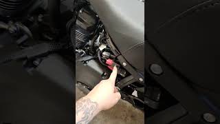 Lowrider ST Creamin Eagle Pro Street Tuner Install [upl. by Ammon954]