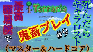 【テラリア】9 釣り人NPC仲間にして、釣りクエストやるぞ！！ [upl. by Adalia]