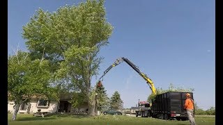 COPMA 450 Mecanil Grapple saw Truck  Tree Removal Timelapse  Knuckleboom Crane 2022 [upl. by Iaverne]