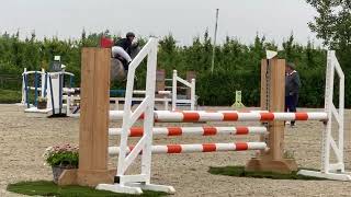 Uger Jumping Zepperen 4 jarige paarden 1062024 [upl. by Osugi]