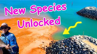 Fishing the new Port Hedland Marina  Fish Species unlocked [upl. by Iam]