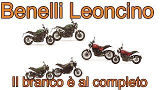 La Gamma Benelli Leoncino al competo quale scegliere Street o Trail 125 250 500 o 800 [upl. by Winfred]