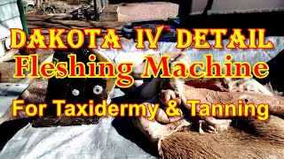 The Tanning amp Taxidermy DETAIL FLESHING MACHINE Video 176 [upl. by Kciredohr]