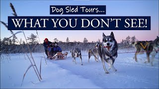 Dog Sled Tours  WHAT YOU DONT SEE Life behind [upl. by Annerahs669]