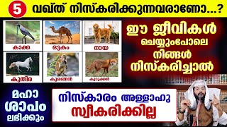 ഈ ജീവികളെ പോലെ നിങ്ങൾ നിസ്കരിക്കരുത് വലിയ അപകടം വരും Shafeek Badri kadakkal  Niskaram Speech [upl. by Roselia]