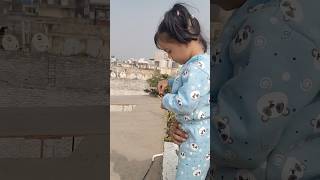 Ye sanaira chat par kya karne jaa rahi hain rashnitvlogs reels youtubeshorts amaira [upl. by Klatt231]