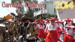 CARNAVAL TLALTENCO  COMPARSA BARRIO FUERTE SÁBADO 8 DE MARZO 2014 FULL HD [upl. by Laon]