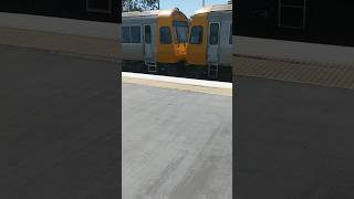 all stations Beenleigh service operated by SMU 208206 rolls into Rocklea station at approx midday [upl. by Neelcaj586]