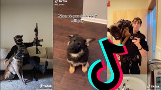 Amazing k9 Police Dogs TikTok Compilation 1  Dogs Of TikTok [upl. by Betti]