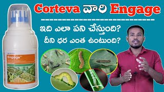 Corteva Engage Insecticide Telugu  Engage Insecticide Use in Telugu  మిరప లో ఎలా పని చేస్తుంది [upl. by Channing185]