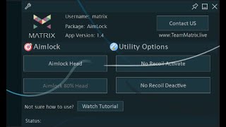 Matrix Regedit Panel For Free Cracked [upl. by Oremoh549]