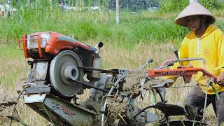 Rotary Tiller Tractor Tilling Old Rice Wet Field [upl. by Supat]