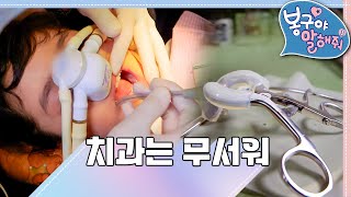 EBS놀이터 봉구야 말해줘1💘｜치과는 무서워🦷｜나영｜봉구｜바바｜2편 모아보기 [upl. by Higginbotham685]