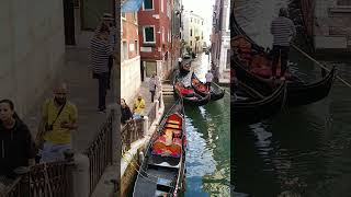 Italy 🇮🇹 short shorts shortvideo shortyoutube travel love venice italy italia europe fun [upl. by Hanyaz]