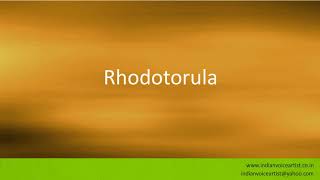 Pronunciation of the words quotRhodotorulaquot [upl. by Nosrac448]