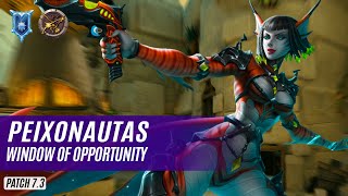 peixonautas SAATI PALADINS COMPETITIVE DIAMOND WINDOW OF OPPORTUNITY [upl. by Imot]