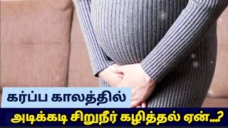 Why is frequent urination during pregnancy [upl. by Tiebout]