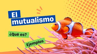 ¿Qué es el mutualismo [upl. by Lidstone]