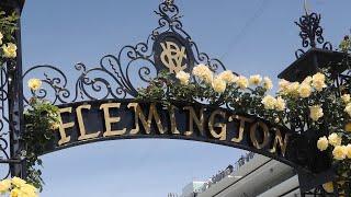 Melbourne Cup takes over Flemington Racecourse [upl. by Ojiram]