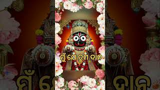 ⭕❗⭕Sakala pranama ghenna hey chaka Nayana song statusJay jagannath statusviral shortviral🙏🙏🙏 [upl. by Tem]