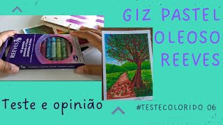 Giz Pastel Oleoso Reeves  Teste Colorido [upl. by Kobylak]