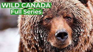 Wild Canada  Natures Untamed Beauty  Full Series  Free Documentary Nature [upl. by Harmaning]