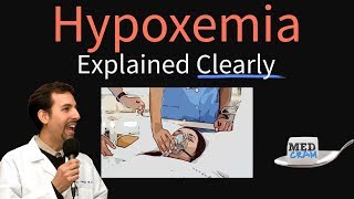 Hypoxemia Explained Clearly  Causes Physiology Hypoxia Treatment [upl. by Tayib684]