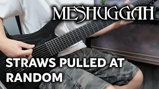 Meshuggah  Straws Pulled at Random  Guitar Cover [upl. by Lev]