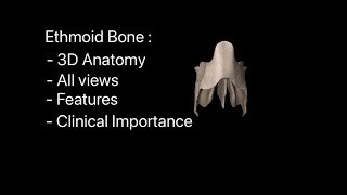 Ethmoid bone anatomy 3D animation view features 3D model demage broken ethmoid bone characters [upl. by Thurmann372]