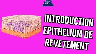 02  Introduction Epithélium de revêtement [upl. by Bodwell]