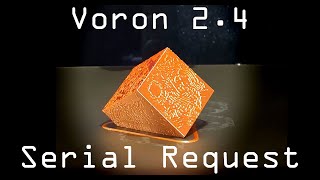 Voron 24 Serial Request  Replicon [upl. by Johnsten]