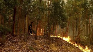 Des milliers de pompiers luttent contre une centaine dincendies au Portugal [upl. by Mariand]