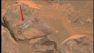 Mars perseverance Rover Captured a New 4k Stunning Video Footage of Mars Surface [upl. by Niriam]