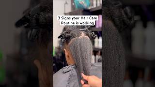 How do I know if my Hair is Healthy Look for these 3 signs of healthier hair  Healthy Hair journey [upl. by Adnirem263]