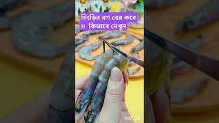 See How to Devein Shrimp Like a Pro Easy and Fast Techniques চিংড়ি মাছ fish trending fishing [upl. by Nautna]