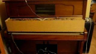 Modified PianoCorder Keytop Player on Steck Pianola Player Piano plays quotLittle by littlequot [upl. by Bergeron]