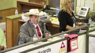 2013 LMAC Auctioneer Championship  Winners [upl. by Duane]